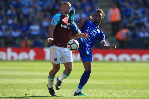 浸在小罗退 浸在小罗退